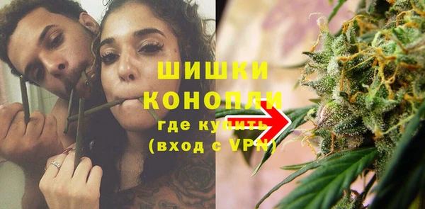 ГАЛЛЮЦИНОГЕННЫЕ ГРИБЫ Алексеевка