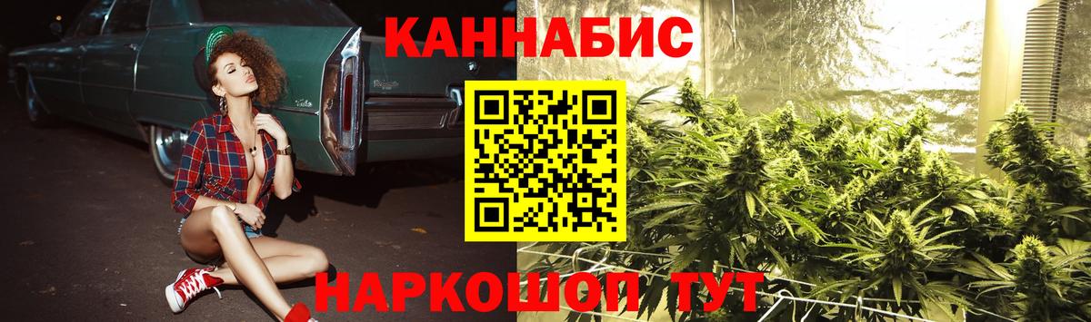 Конопля сатива Богородск